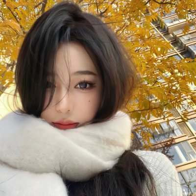 巡回检察组